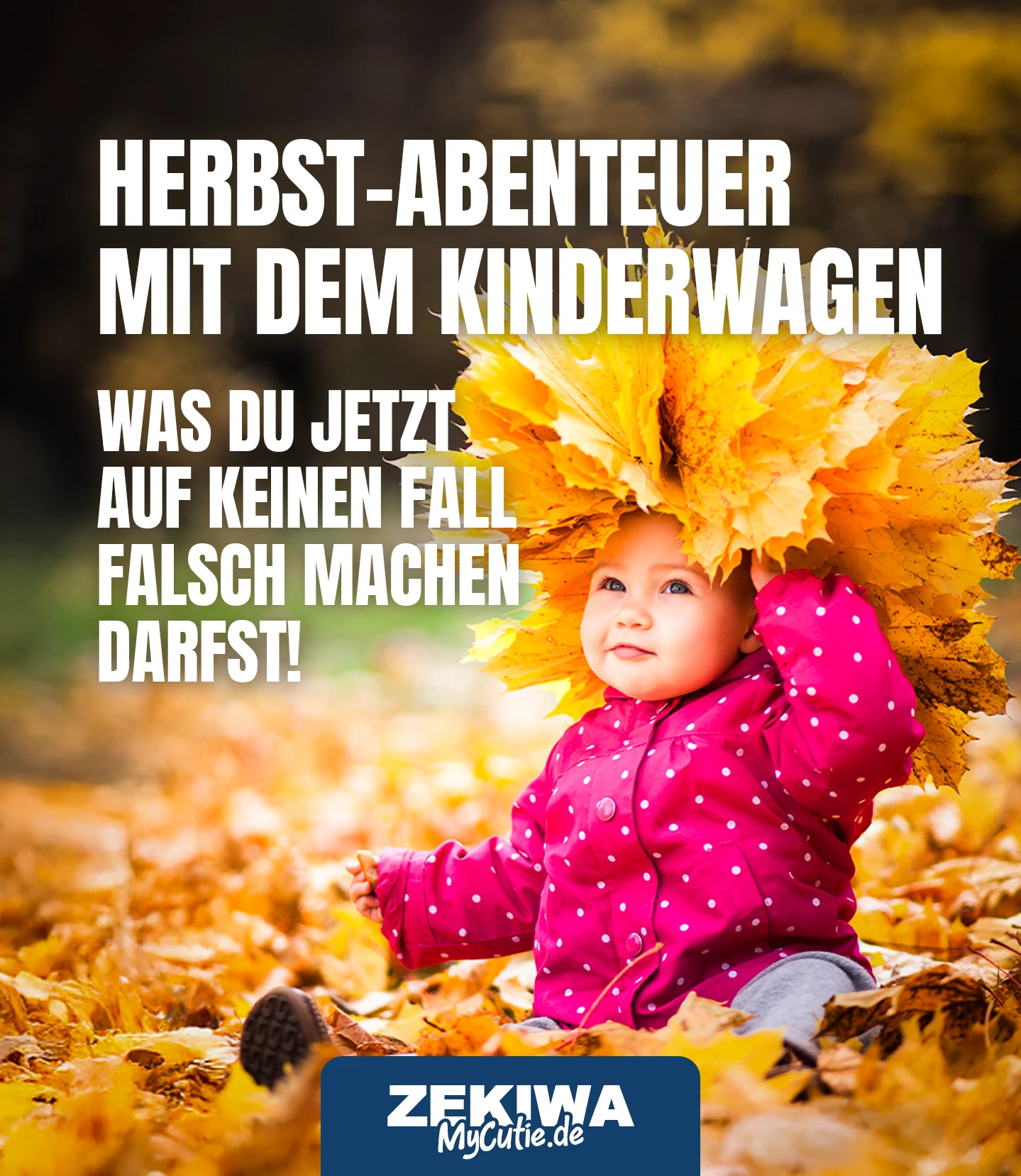 Herbst-Abenteuer mit dem Kinderwagen: Was Du jetzt auf keinen Fall falsch machen darfst!